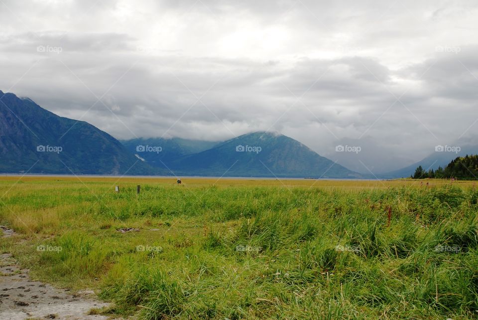 Looking over river in Hope Alaska