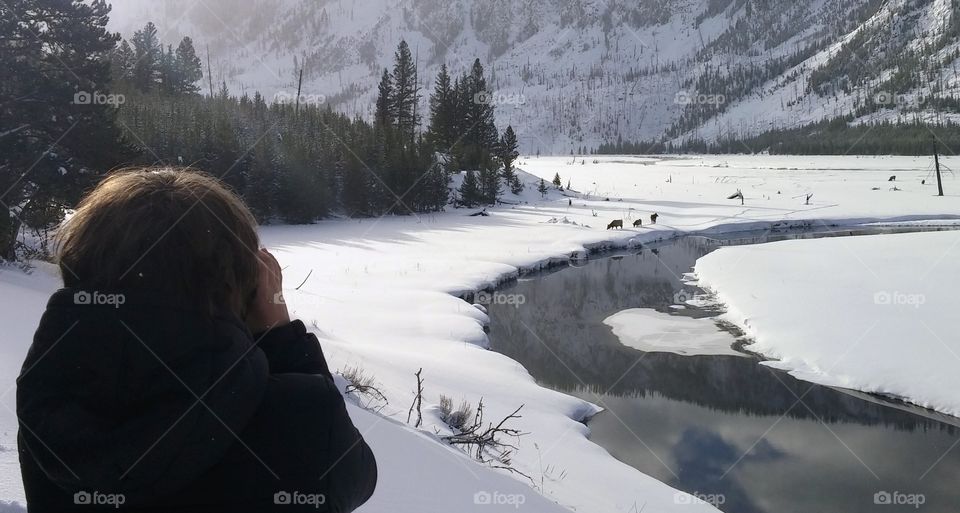 Spying on winter wildlife