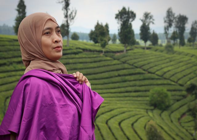 one day in tea plantation