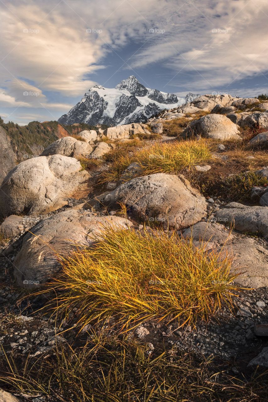 Golden sunset light shines on bushes, rocks, and a jagged mountain in Washington 