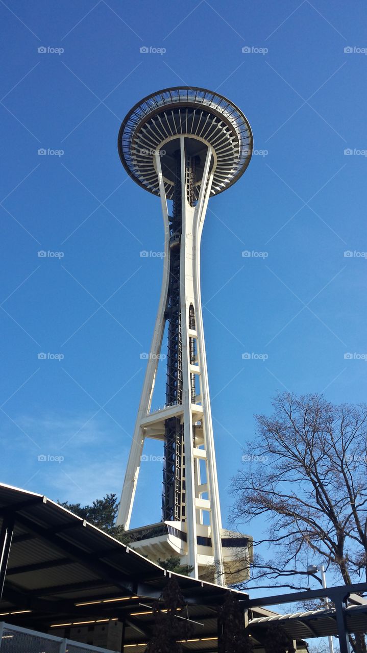 the space needle. Seattle WA