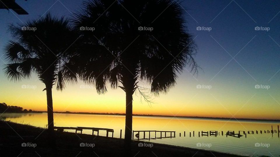 sunrise beach and palms