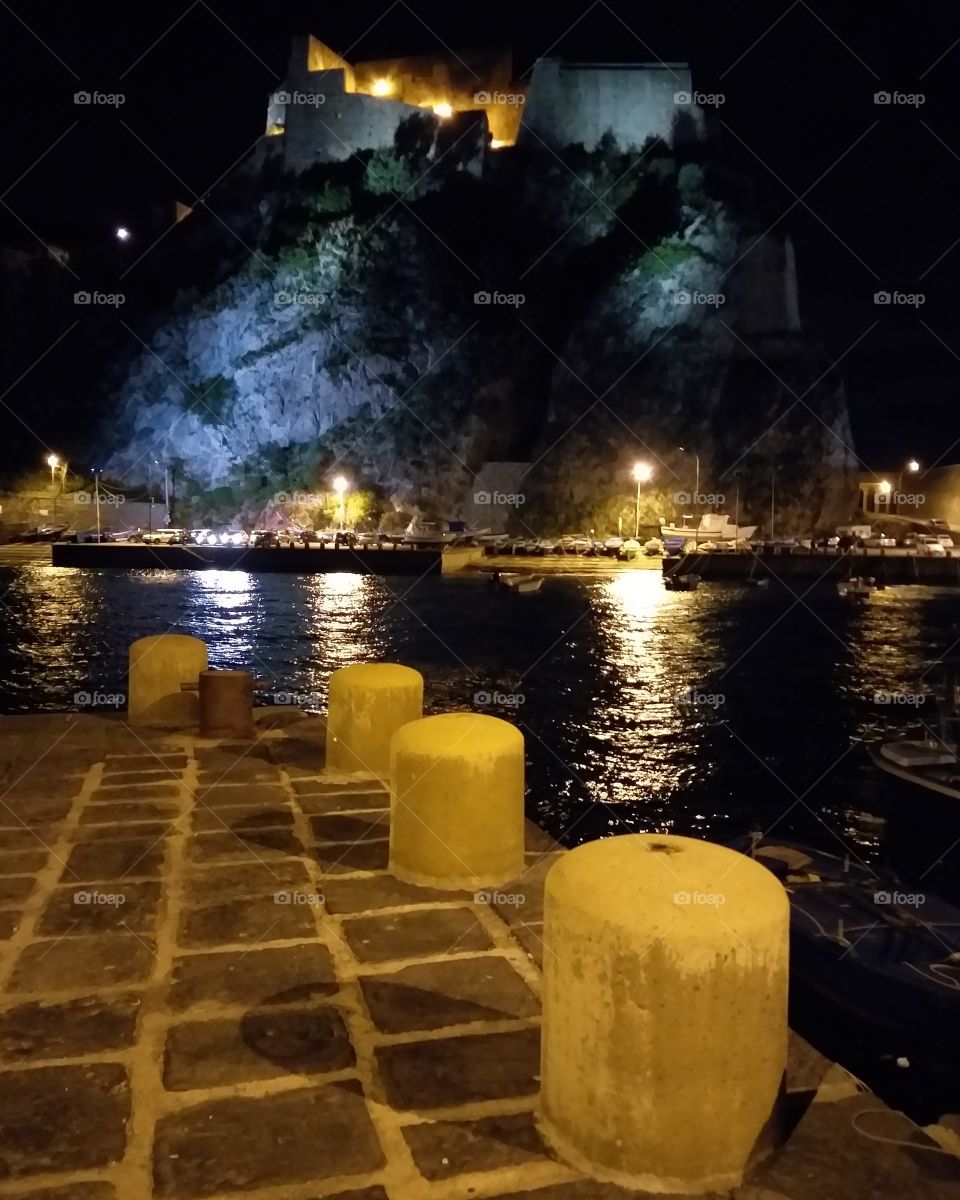 Scilla by night 💛