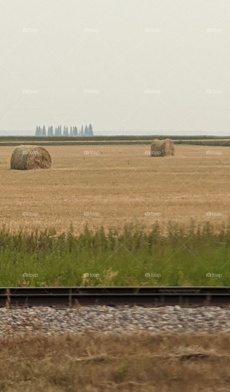 Round hay bales on the praries