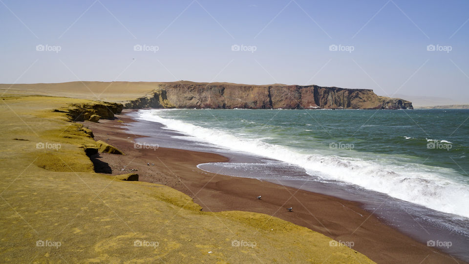 Reseva Nacional de Paracas - Perù