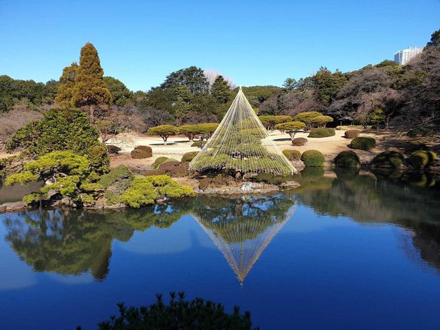 Beauty in Japan