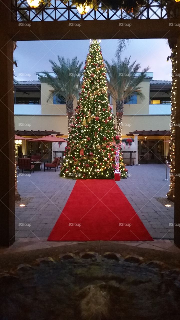 Omni Resort Tree