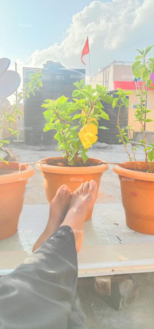 feet 🦶 with plants 🪴