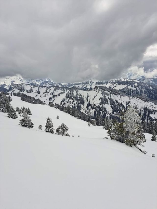 Snow