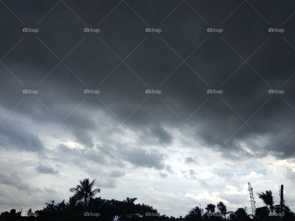 Rainy Days with nature