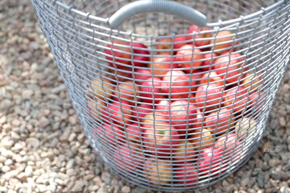 Fresh red apples in a basket