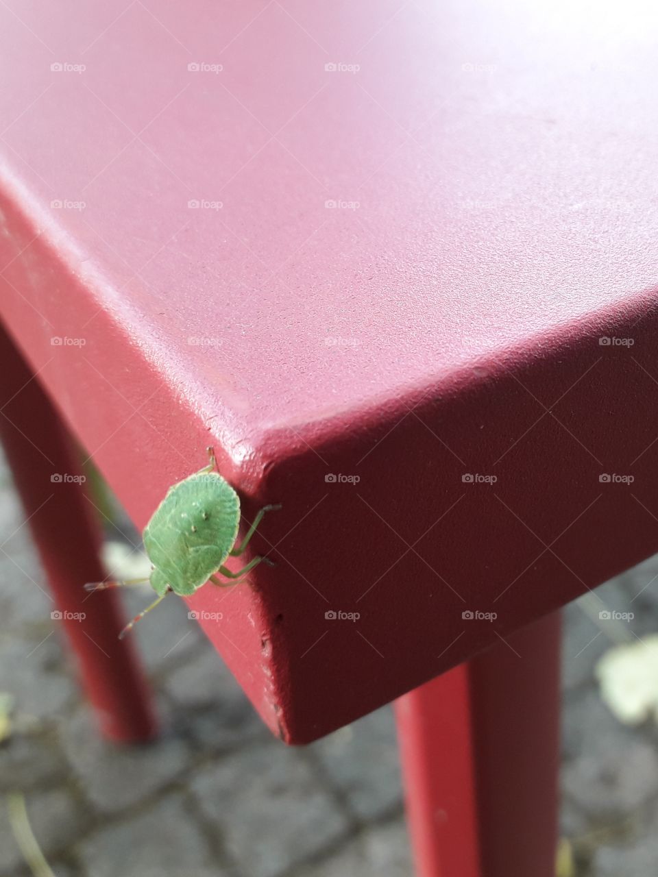 colour red green bug one angle corner drop