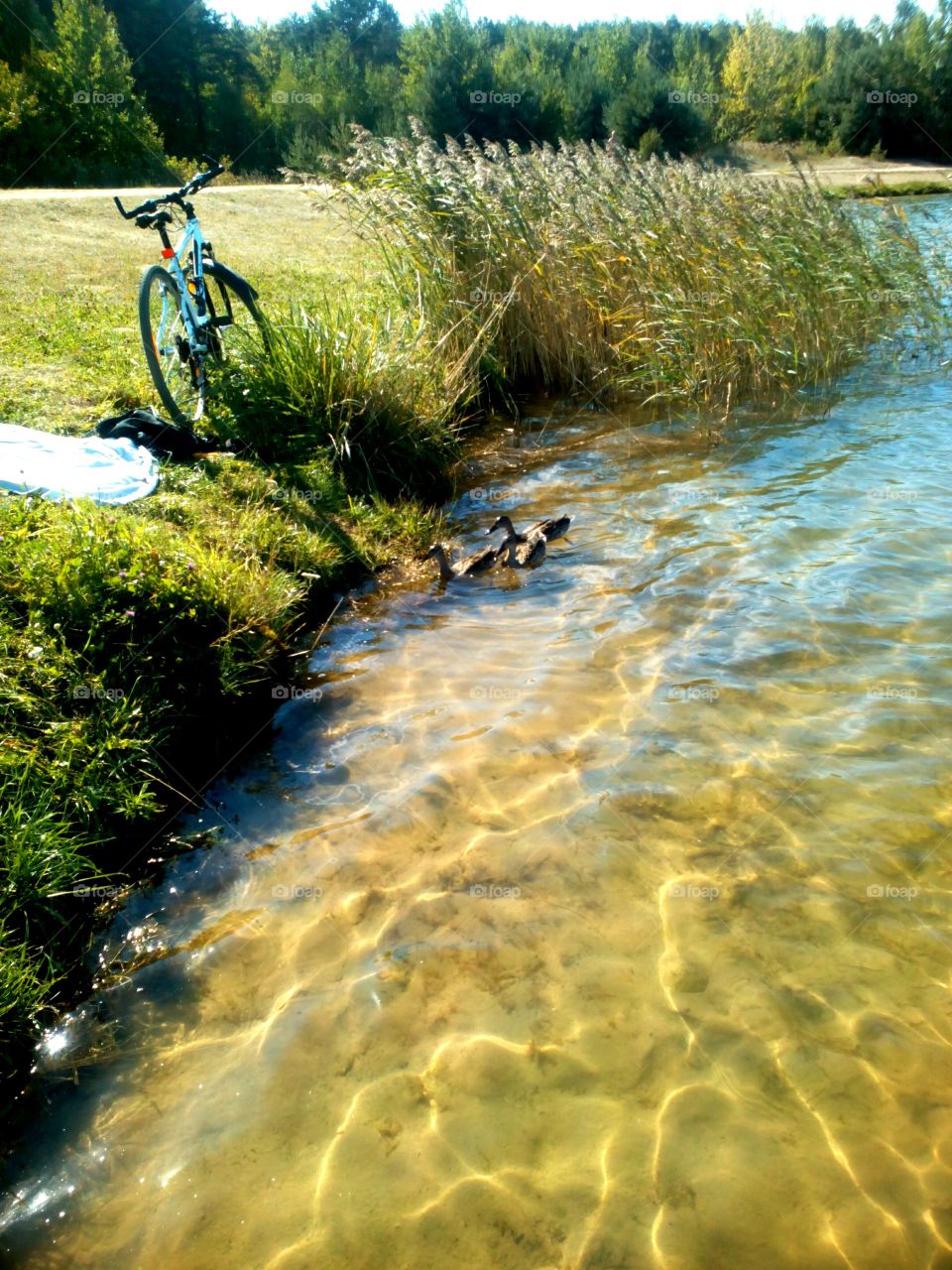 Water, River, Nature, Landscape, No Person