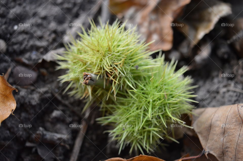 Autumn is here