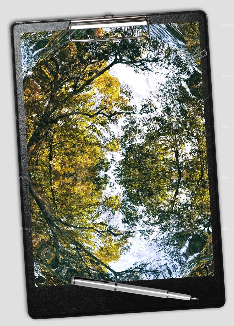 Reflections in a Tablet in a Frame