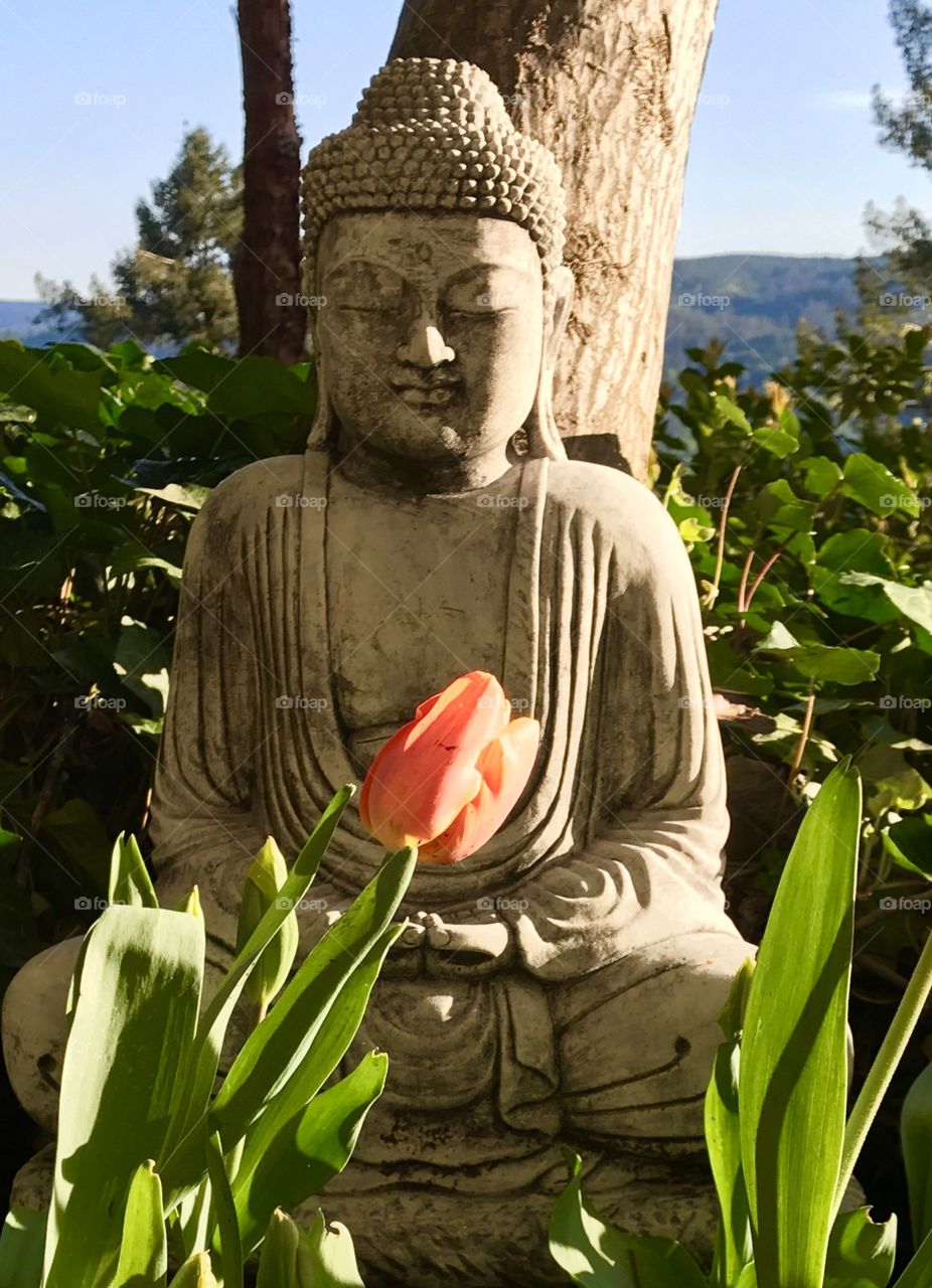 Buddha