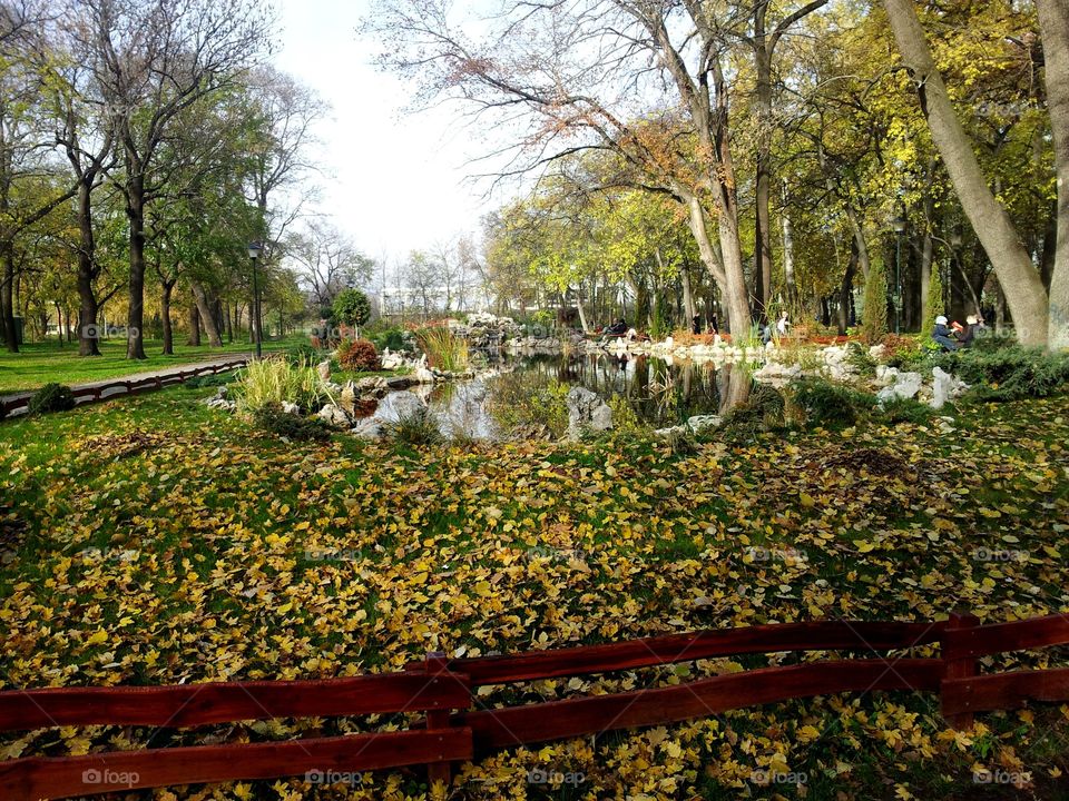 Autumn in the garden