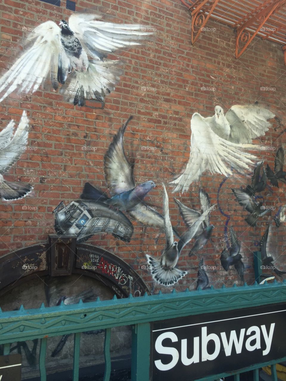 Graffiti Brooklyn birds street art
