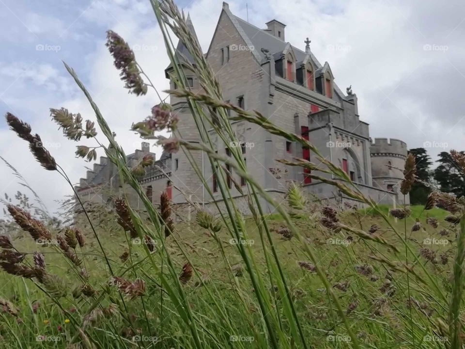 Beautiful, building, grass, nature