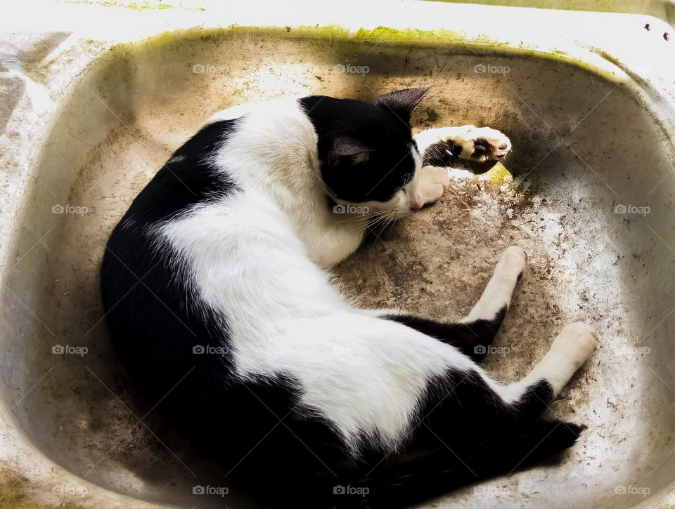 black and white color