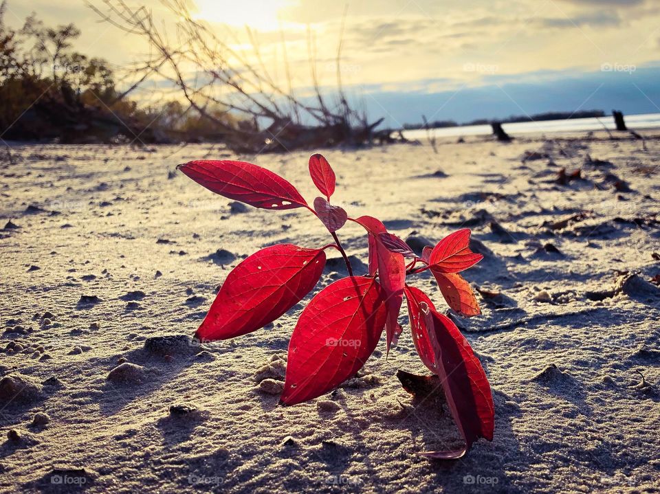 Beach days of autumn 