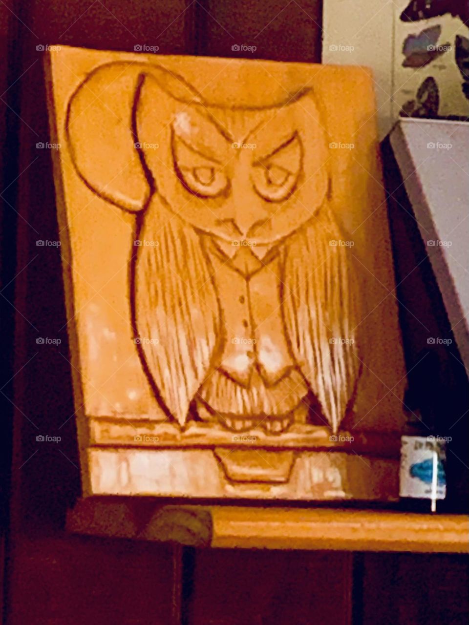 Owl art