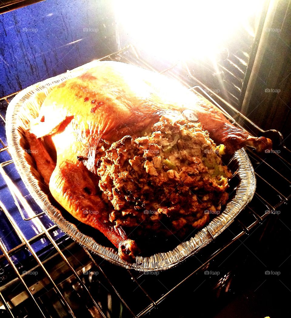 An oven light shines brightly on a freshly cooked turkey bulging with stuffing.
