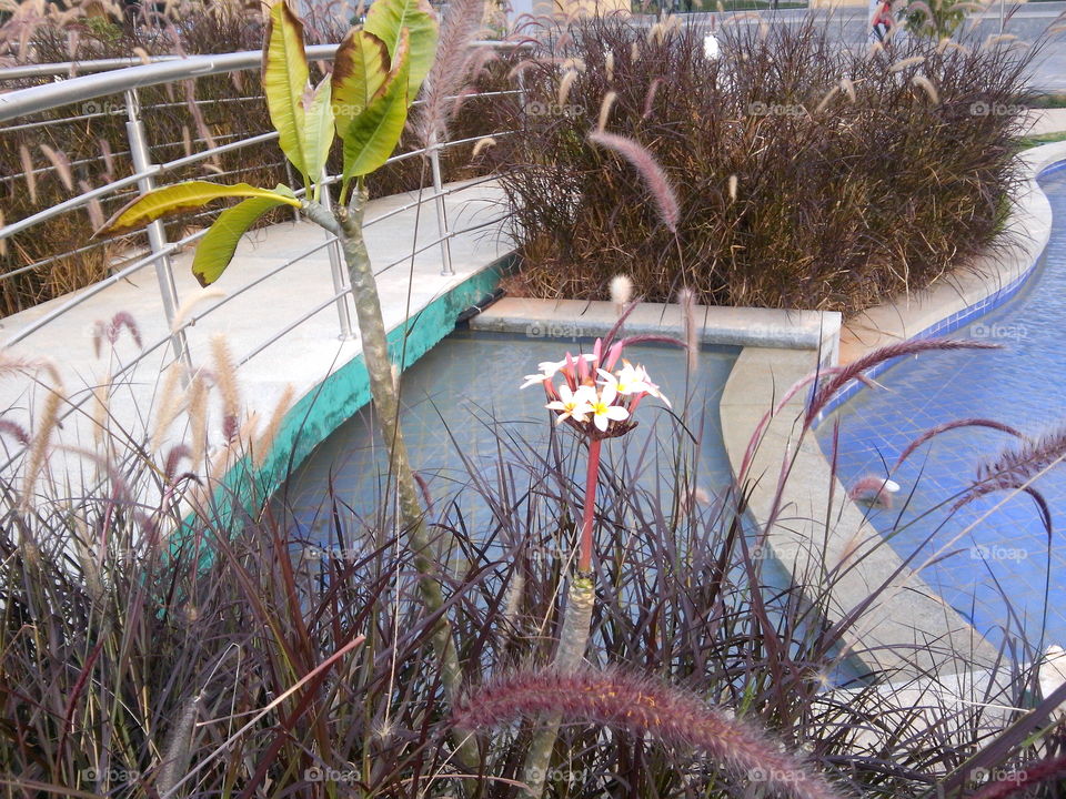 Inam-Innovation photography