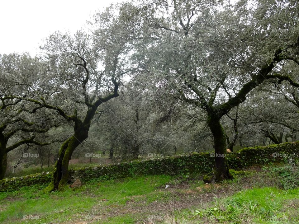 Hiking outside Sevilla, Spain