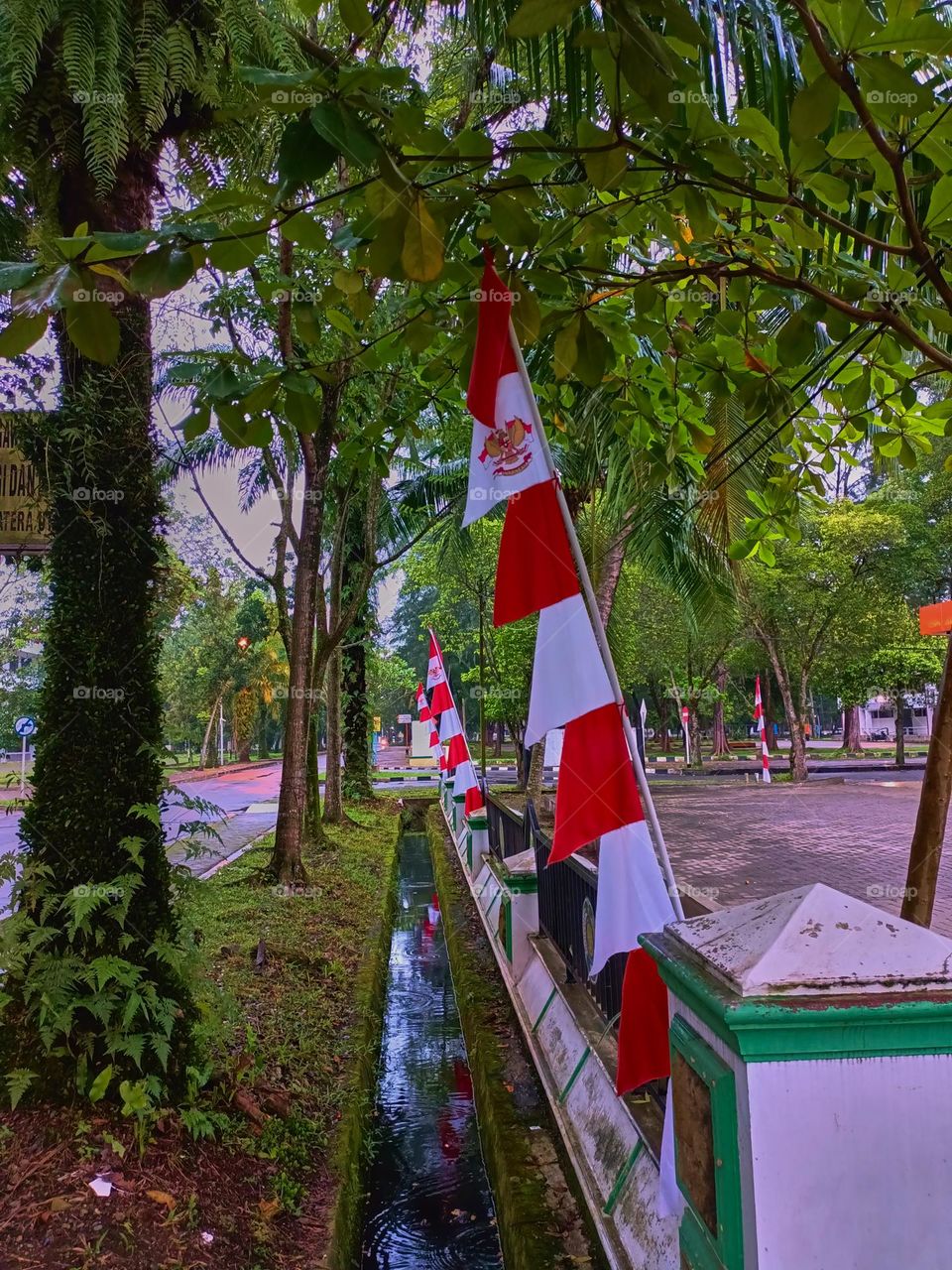 Indonesian Flag, The Red and white Flag, national symbol of Indonesia. Red and white pennant or flag on a bamboo pole used to commemorate Indonesia's independence day