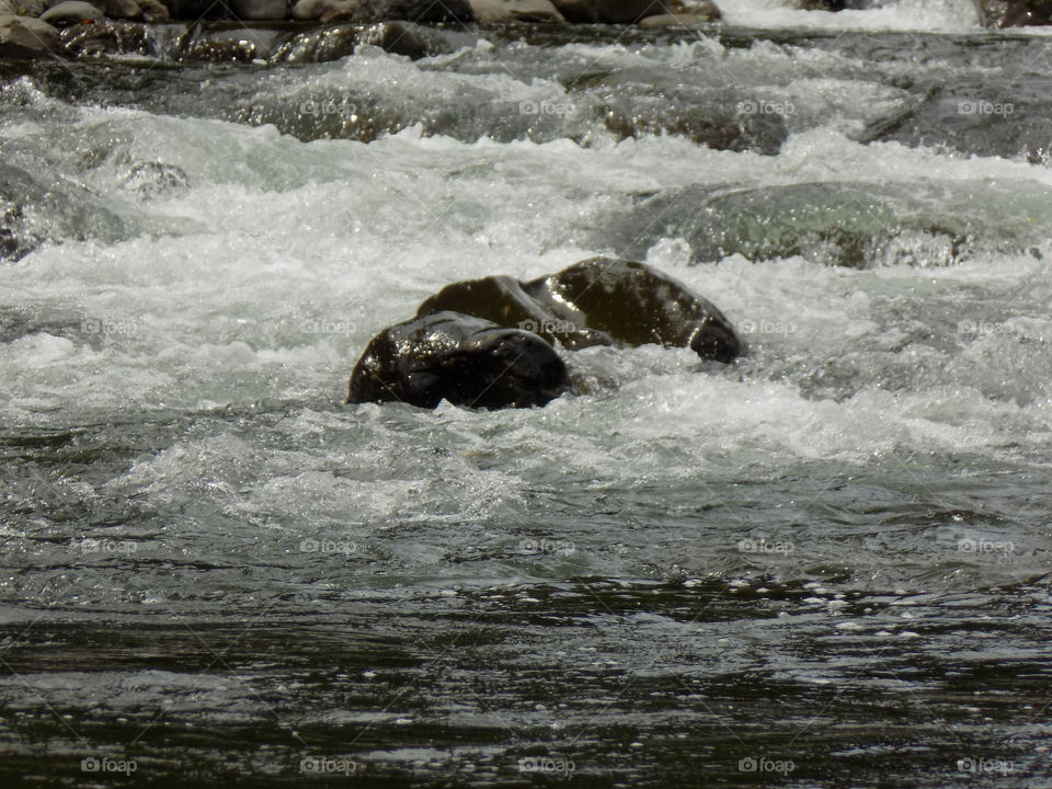 The cold River in the jungles of aceh halimon