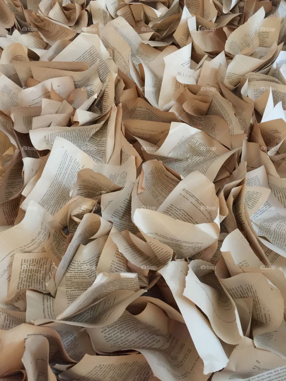 Pages From The Old Books