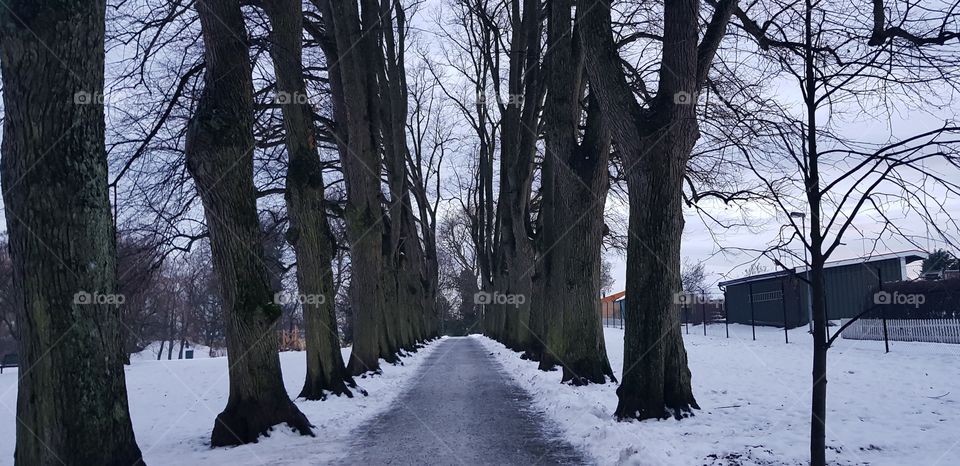 Bjølsenparken Oslo Norway