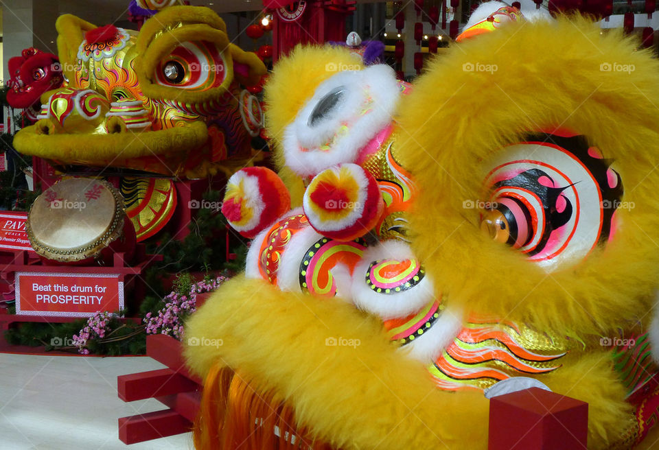 chinese new lion dance by paullj