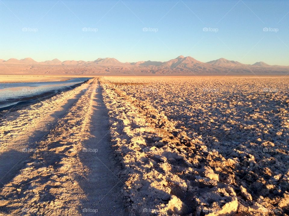 Flamingos lake sideway. Flamingos lake sideway sunset in Atacama desert.