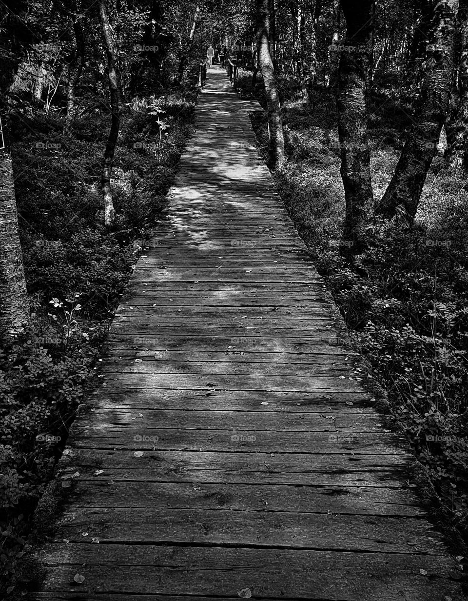 Wooden Way to nowhere