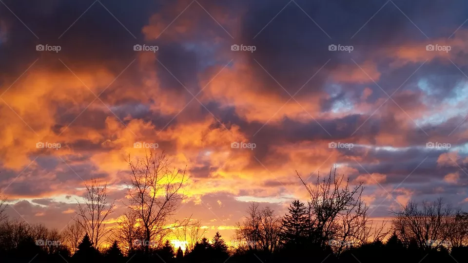 sunset