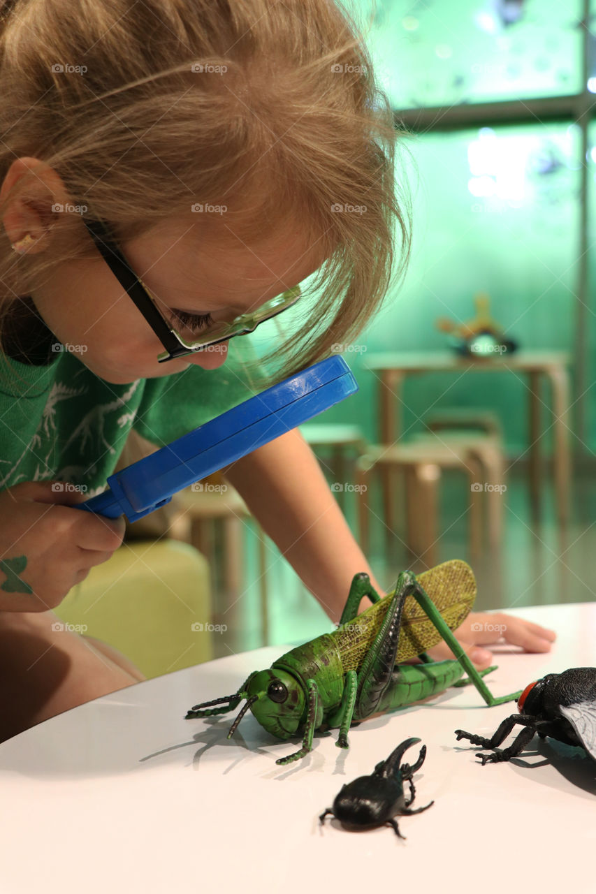 Child looking at a toy grasshopper