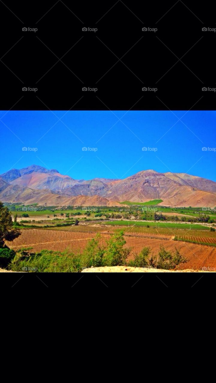 Pisco Valley
