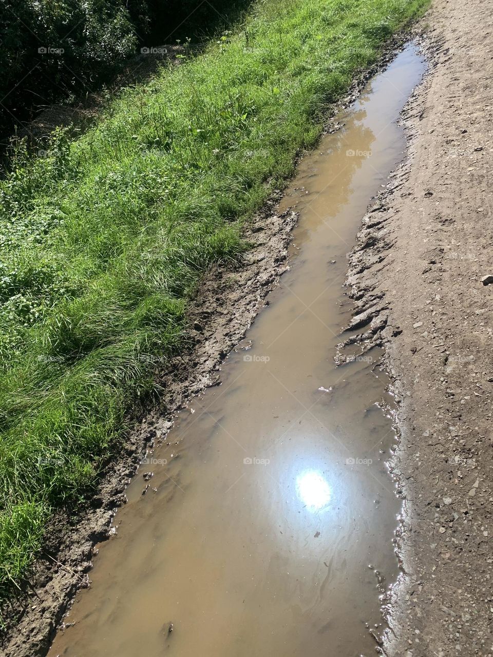 Muddy puddles during in fall, south west England 