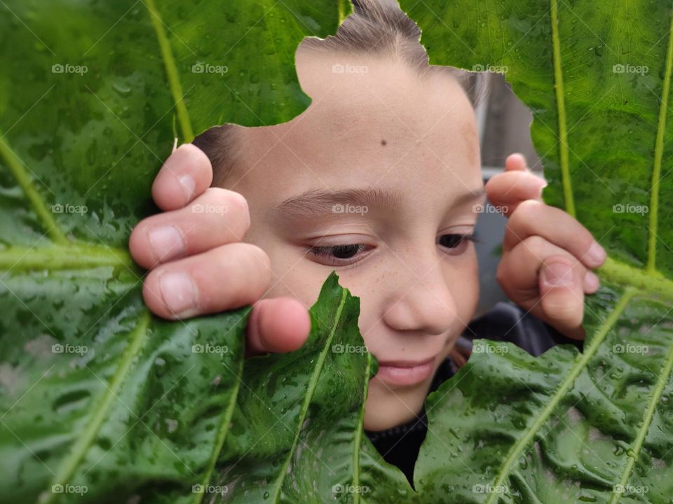 Torn leaf with childs face