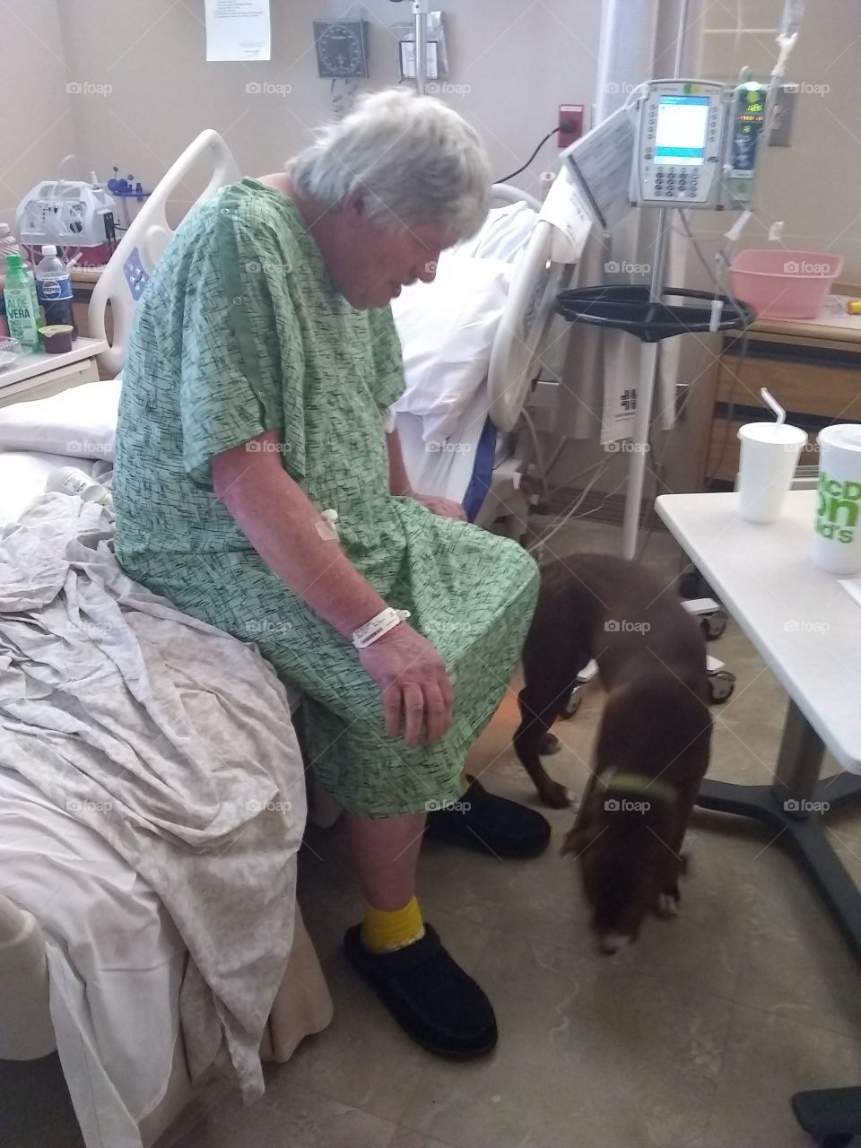 Dog visits patient in hospital.