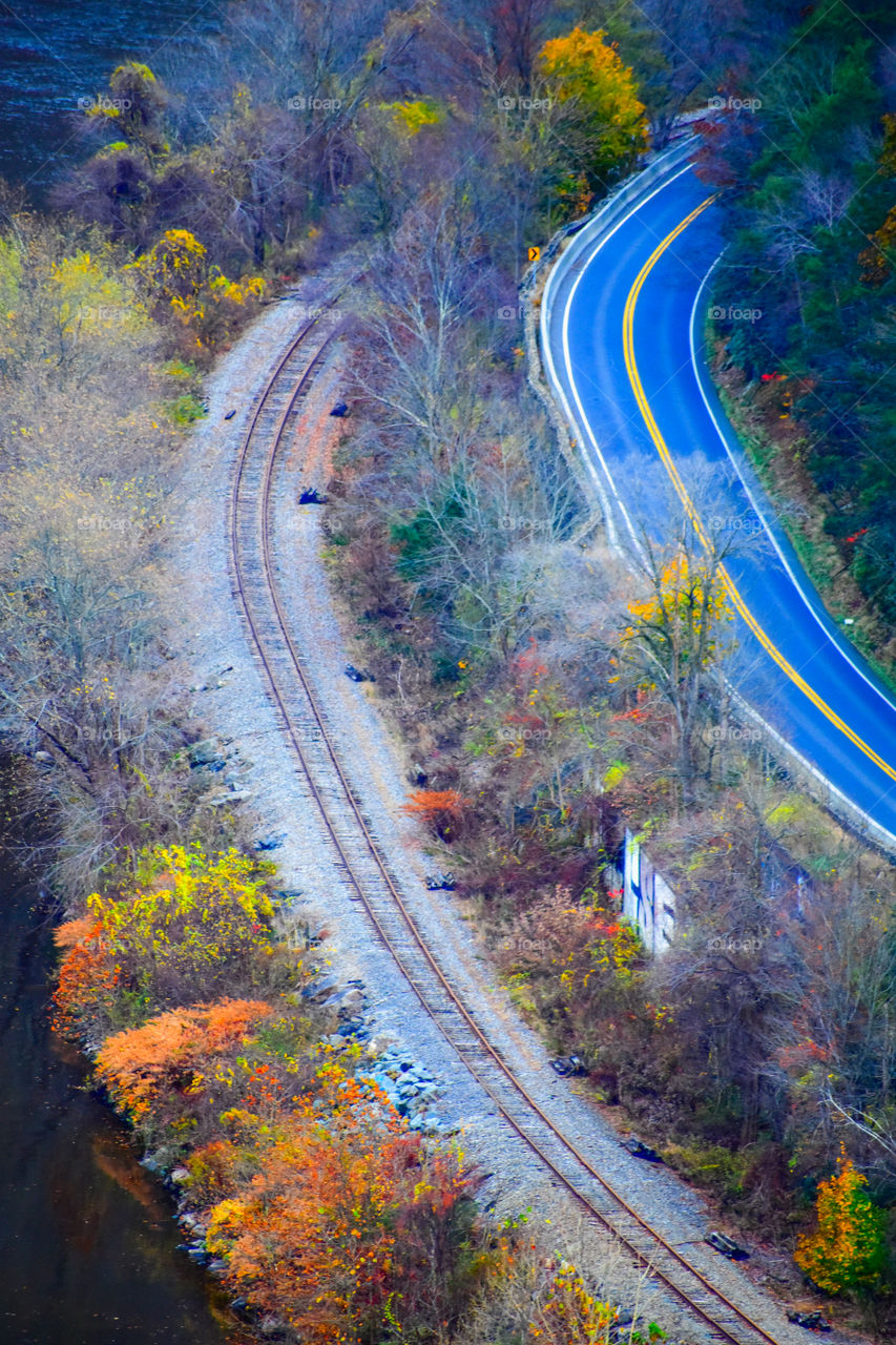 Follow the path ahead of you. You never know where it will lead!