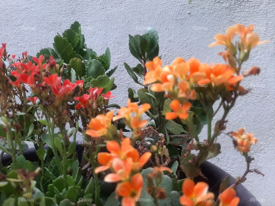 what a view! amazing colors