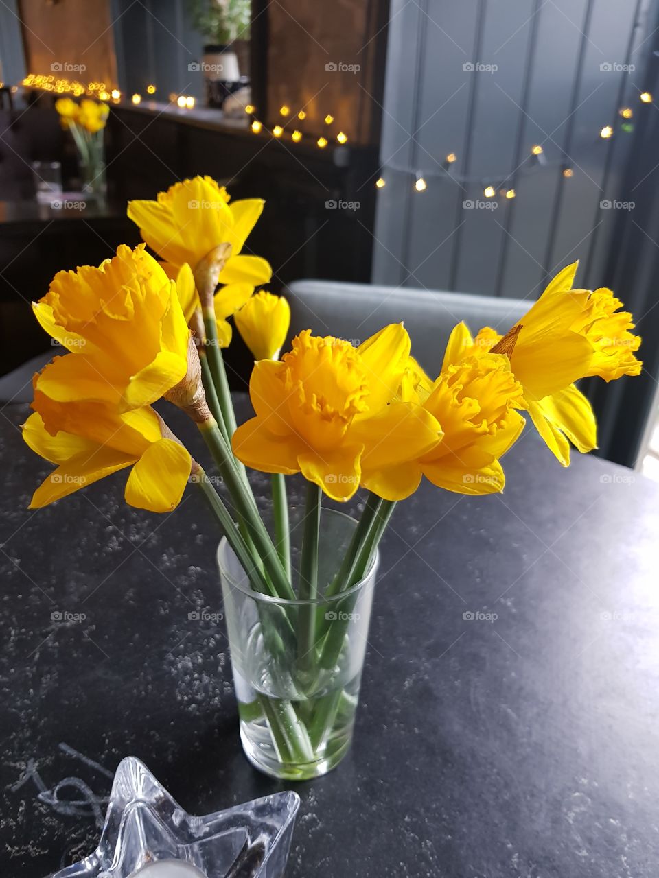 Yellow daffodils brighten up a cold winter table.