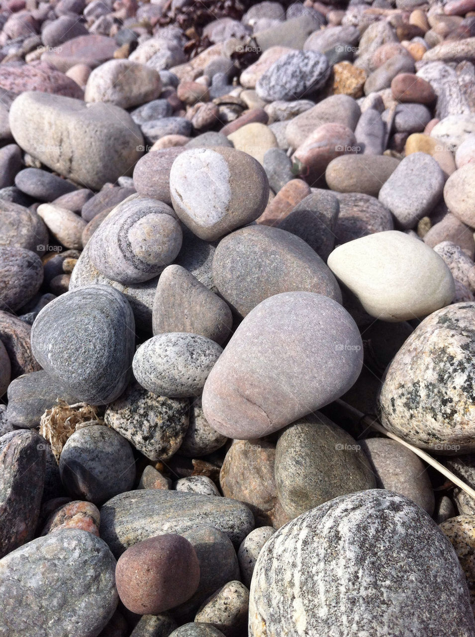 beach sweden nature summer by haq