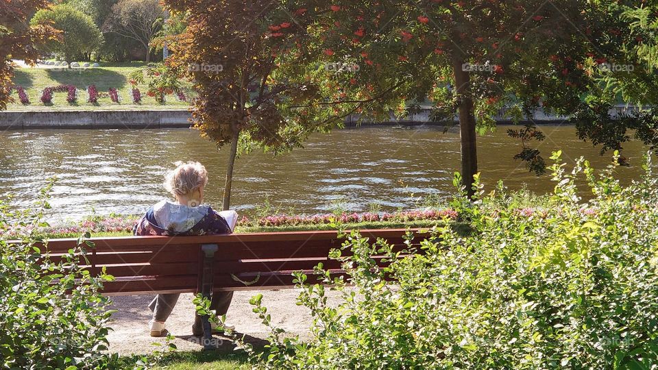 Elderly woman reads a book on a park bench on a sunny day ☀️📖🌳