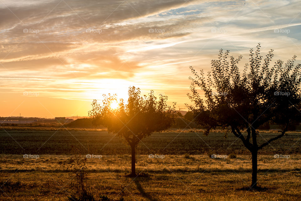 golden hour