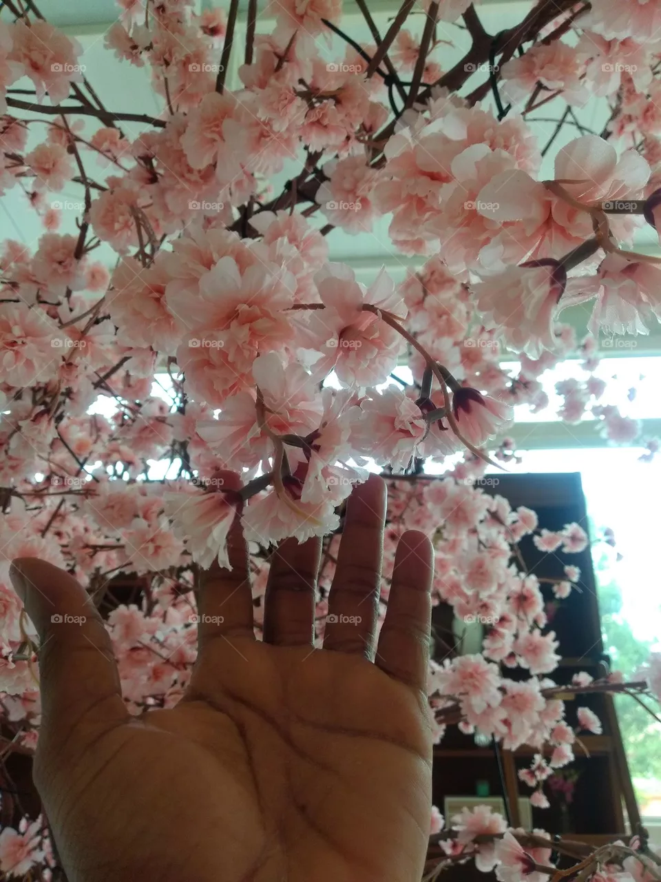 flores