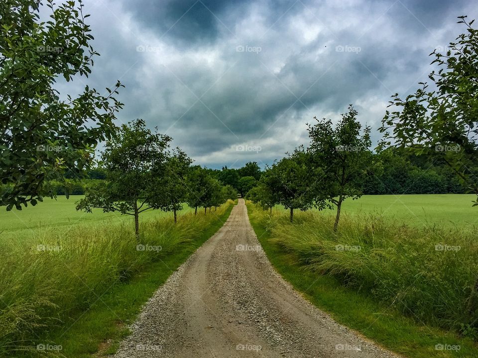 Scenic view of nature